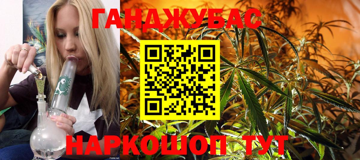Бошки Шишки тримм  Вход с VPN  Камышлов  Бошки марихуана семена  Бошки марихуана White Widow 